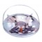 FORNELLO CROMATO X BOMBOLE made in italy ferro cromato