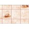 PLASTICA ADESIVA ALKOR 2619 MT.15