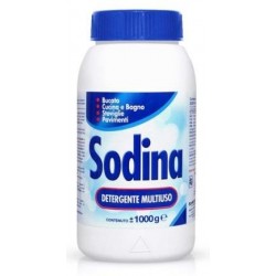 SODINA SGRASSANTE TAPPO SICUR KG 1.00 Kg 1,00
