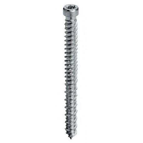 VITI ATF X CALCESTRUZZO E CEMENTO TESTA CILINDRICA
TORX T30