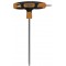 T25