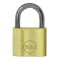 LUCCHETTI AD ARCO YALE-CORBIN